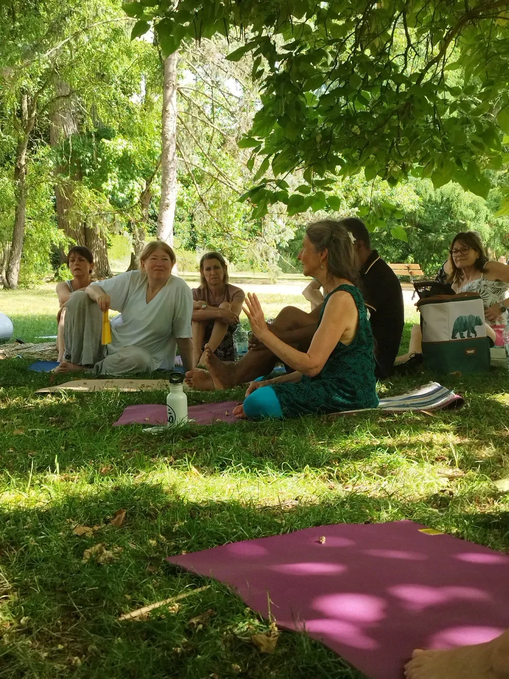 Échanges autour de la tradition du Gitananda Yoga à Vichy, France